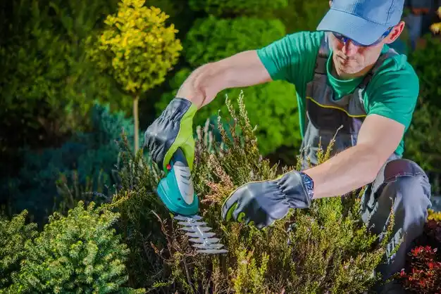 landscaping services Bessemer